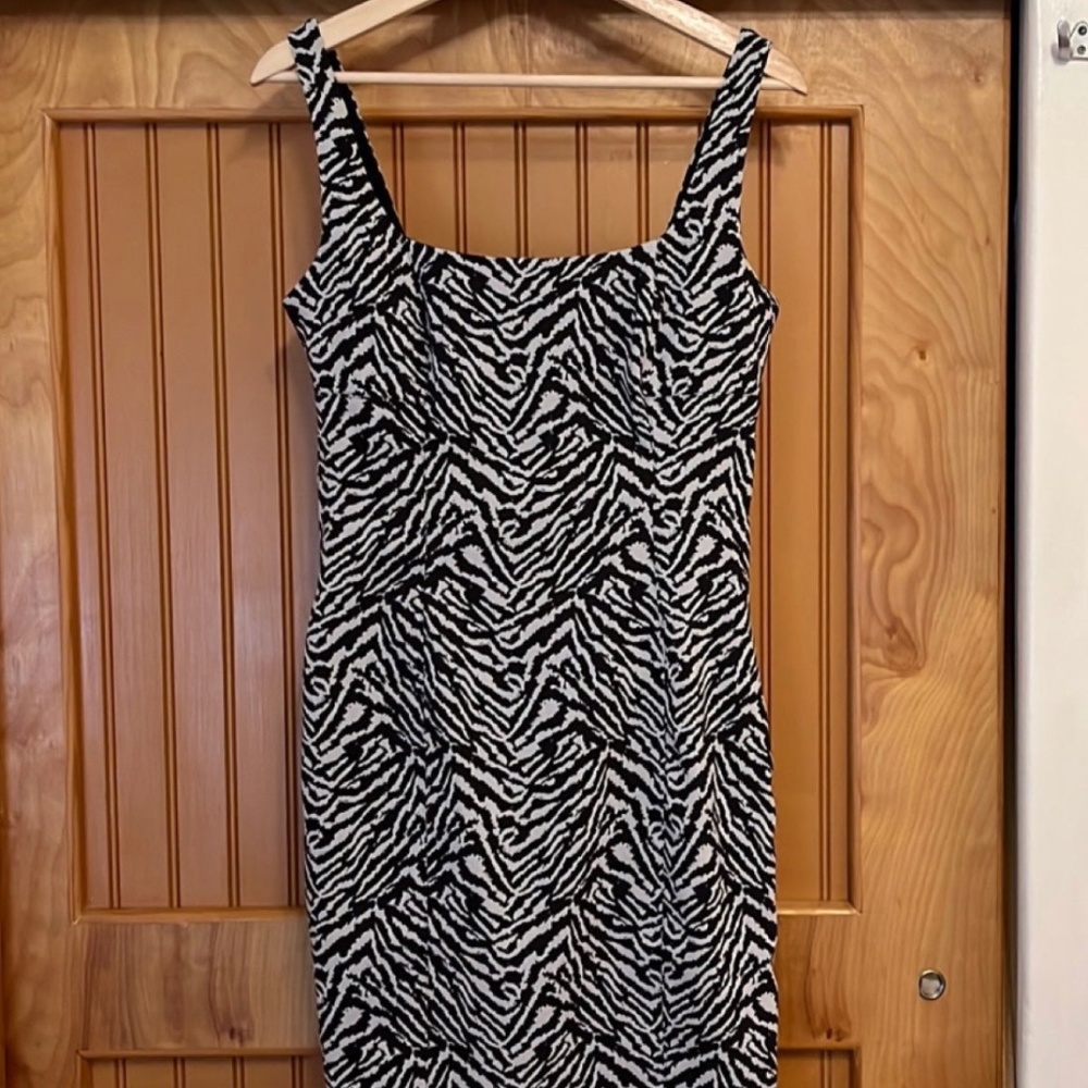 Banana Republic Zebra Print Dress